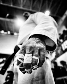 Stoic BJJ Collection