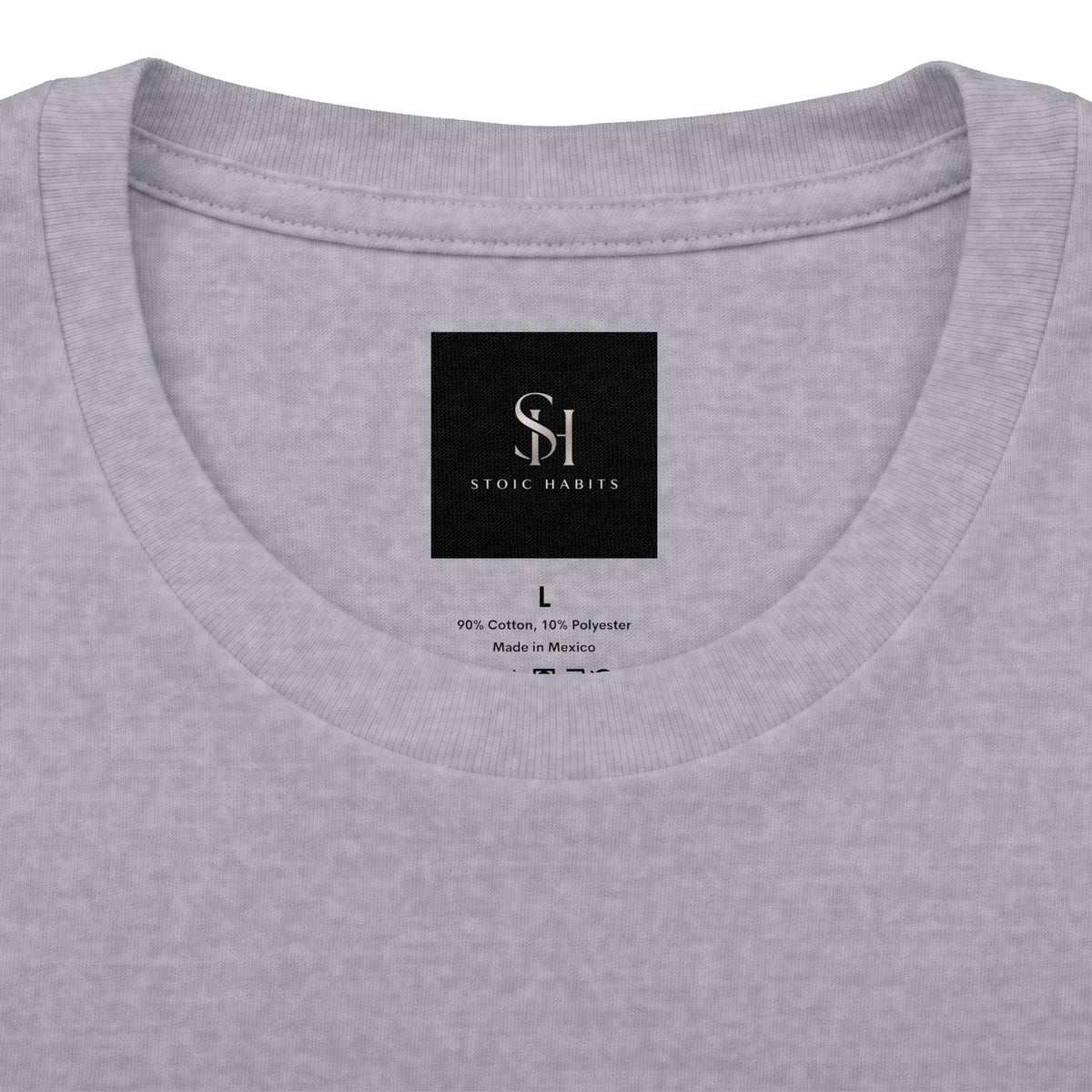 Fortis in Adversis — Latin Quote Tee | Stoic Habits