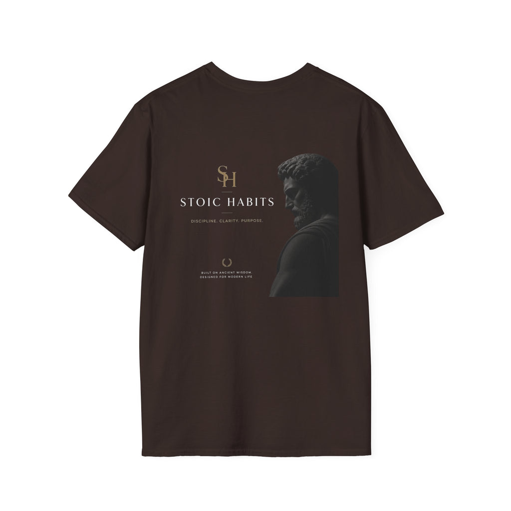Ancient Inspiration - Stoic Habits