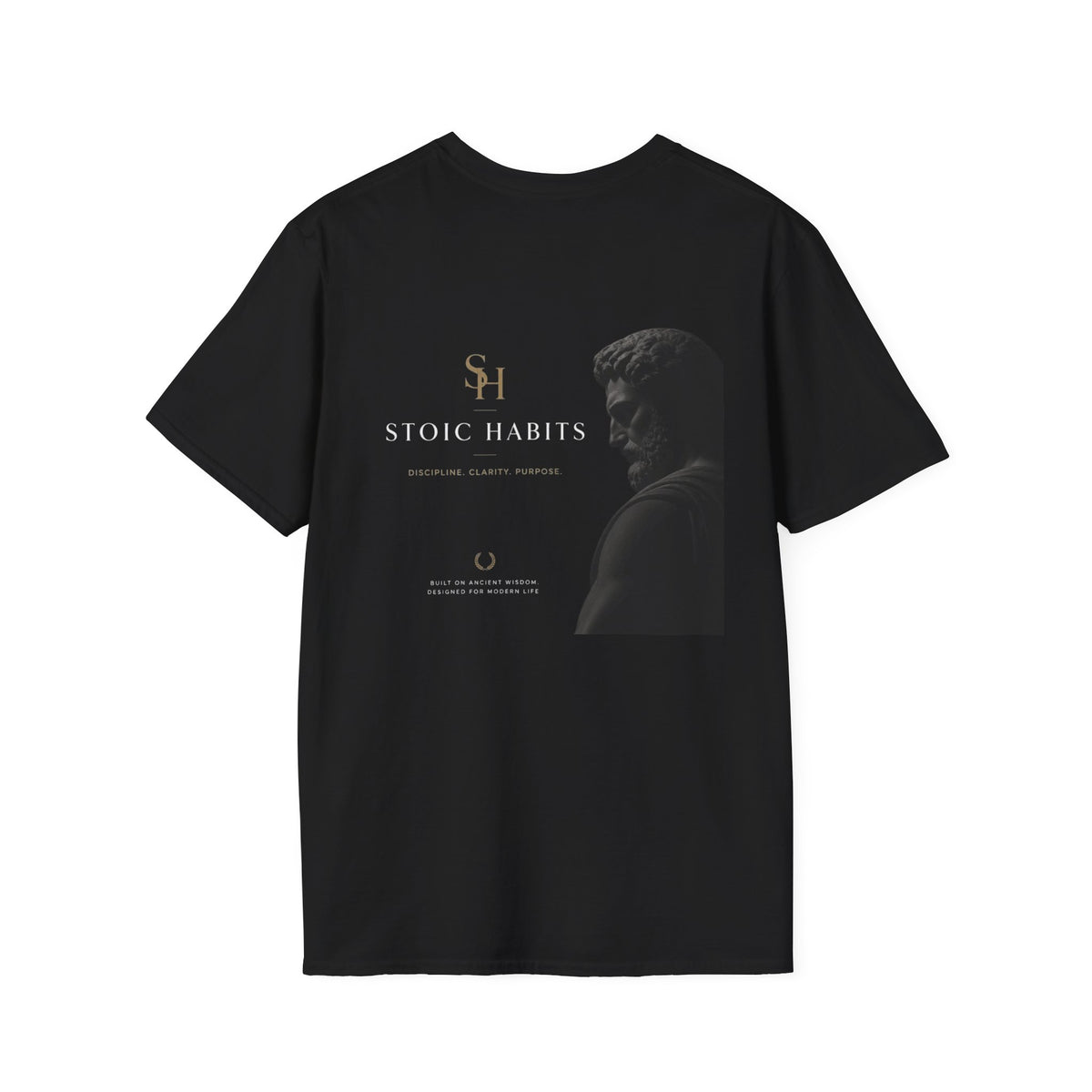 Ancient Inspiration - Stoic Habits