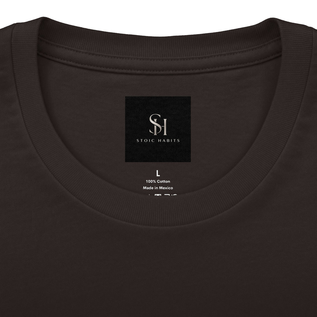 Fortis in Adversis — Latin Quote Tee | Stoic Habits