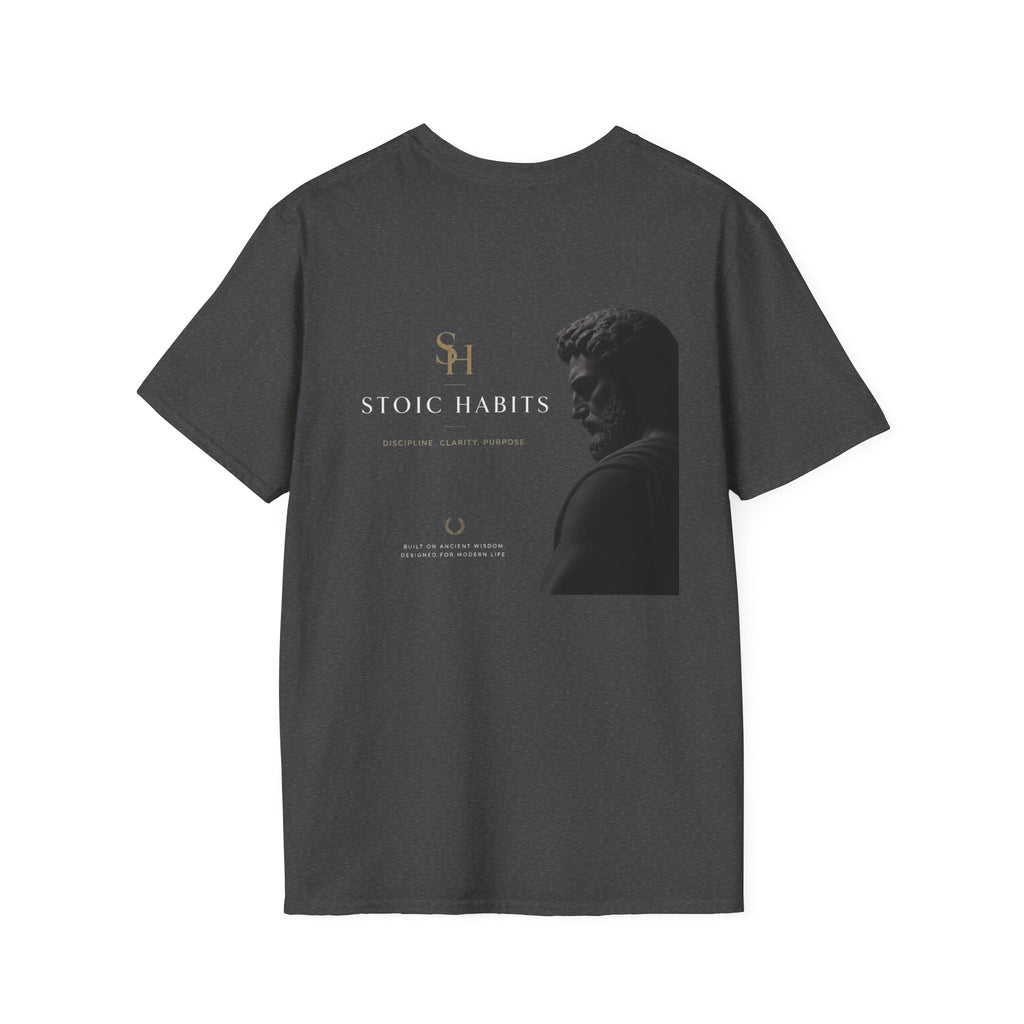 Ancient Inspiration - Stoic Habits