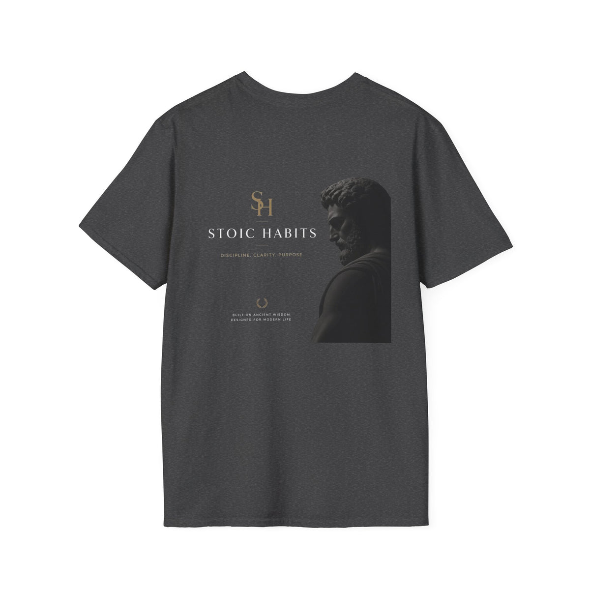 Ancient Inspiration - Stoic Habits
